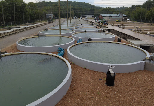 hatchery